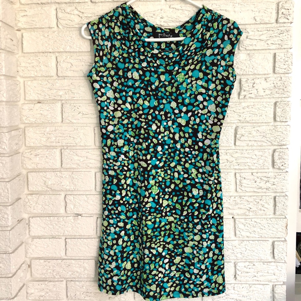 Private Gallery Print Dress